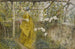 La Vigne - Carl Larsson — artwork view