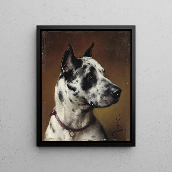A Great Dane - Carl Reichert — framed artwork on a wall
