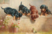 Curious Dachshund Puppies and a Frog - Carl Reichert — artwork view