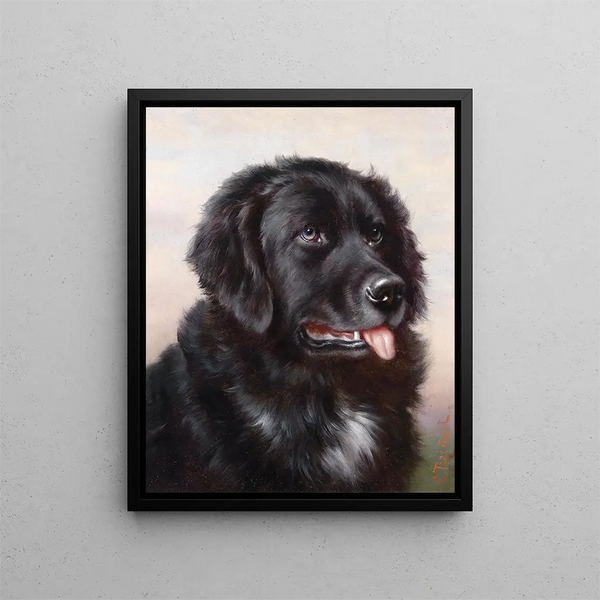 Terre-Neuviens - Carl Reichert — framed artwork on a wall