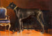 Shadow Red, Empress Elisabeth's dog - Carl Reichert — artwork view