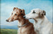 Two Greyhounds - Carl Reichert — artwork view