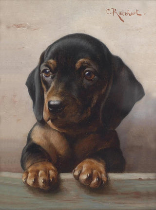 Carl Reichert - Young dachshund.webp