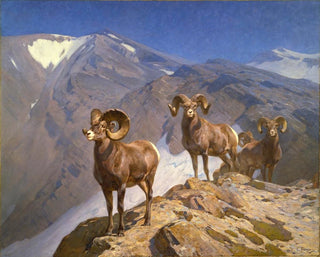Les moutons de Dall sur le col Wilcox - Carl Rungius — artwork view