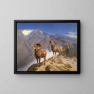 Les moutons de Dall sur le col Wilcox - Carl Rungius — framed artwork on a wall