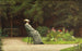 Dame lisant dans un parc - Carl Scherres — artwork view