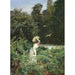 Young woman in a white dress picking raspberries at Ordrup Krat - Carl Schlichting Carlsen — artwork view