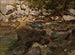 Mountain stream with rocks - Carl Schuch — artwork view