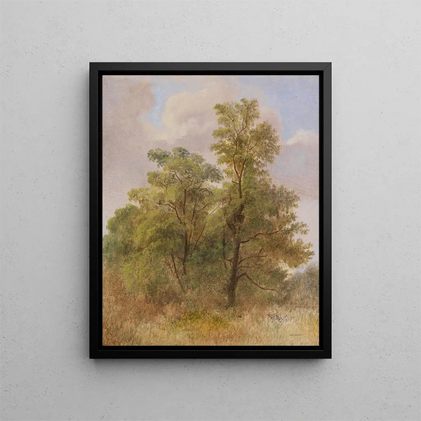 Study of Trees - Carl Spitzweg — framed artwork on a wall