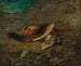 Still life with pheasant and woodcock - Carl Spitzweg — artwork view