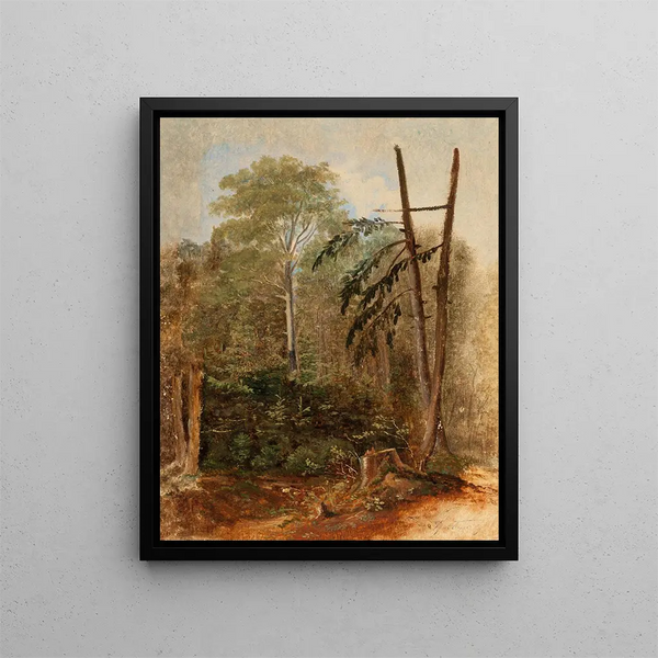 Study of a wooded landscape - Carl Spitzweg — framed artwork on a wall