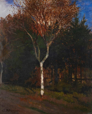 Landscape of Worpswede Young Birch by the Road - Carl Vinnen — artwork view