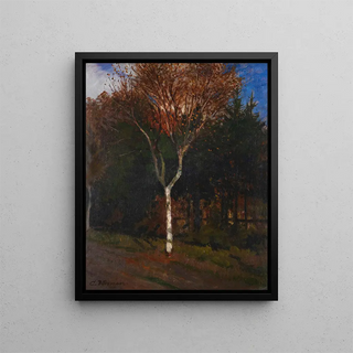 Landscape of Worpswede Young Birch by the Road - Carl Vinnen — framed artwork on a wall