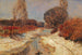 Donauau - Carl Weiss — artwork view