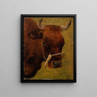 Carlo Dalgas - Head of a cow Study.webp