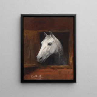 Portrait of a Schimmel - Caspar von Reth — framed artwork on a wall