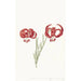 Red Lily - Catharina Lintheimer — artwork view