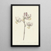 Branch with four white lilies - Catharina Lintheimer — framed artwork on a wall