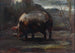Study of Piglet - Cesare Viazzi — artwork view