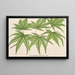 Acer palmatum reticulatum - Charles Antoine Lemaire — framed artwork on a wall