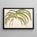 Adiantum Hendersoni - Charles Antoine Lemaire — framed artwork on a wall