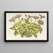 Agave céleste à feuilles panachées - Charles Antoine Lemaire — framed artwork on a wall