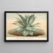 Agave Verschaffelti - Charles Antoine Lemaire — framed artwork on a wall