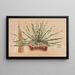 Agave schidigera - Charles Antoine Lemaire — framed artwork on a wall