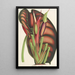 Alocasia metallica - Charles Antoine Lemaire — framed artwork on a wall