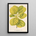 Reproduction of the painting Alnus glutinosa var aurea - Charles Antoine Lemaire