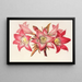 Amaryllis Belladonna - Charles Antoine Lemaire — framed artwork on a wall