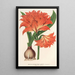 Amaryllis Hippeastrum Alberti - Charles Antoine Lemaire — framed artwork on a wall