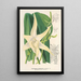 Reproduction of the painting Angraecum sesquipedale - Charles Antoine Lemaire