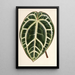 Reproduction of the painting Anthurium crystallinum - Charles Antoine Lemaire