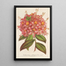 Azalée Bouquet de Flore Hort Versch - Charles Antoine Lemaire — framed artwork on a wall