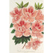 Azalea indica - Charles Antoine Lemaire — artwork view