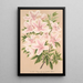 Azalée indica Grande Duchesse Hélène - Charles Antoine Lemaire — framed artwork on a wall