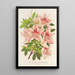 Azalée indica hybrida Charles Enke - Charles Antoine Lemaire — framed artwork on a wall