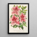 Reproduction of the painting Azalea indica hybrida Madame Verschaffelt - Charles Antoine Lemaire