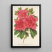 Azalea indica hybrida Madame Wagner - Charles Antoine Lemaire — framed artwork on a wall