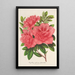 Azalea indica hybrida William Bull - Charles Antoine Lemaire — framed artwork on a wall