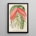 Reproduction of the painting Billbergia Baraquiniana - Charles Antoine Lemaire