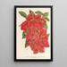 Bougainvillea spectabilis - Charles Antoine Lemaire — framed artwork on a wall