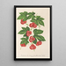 Reproduction of the painting Bryonopsis laciniata var erythrocarpa - Charles Antoine Lemaire