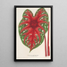 Reproduction of the painting Caladium Duc Adolphe de Nassau - Charles Antoine Lemaire