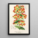 Reproduction of the painting Calceolaria pisacomensis - Charles Antoine Lemaire