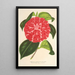 Reproduction of the painting Camellia Cariotta Peloso hybride - Charles Antoine Lemaire
