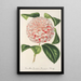 Reproduction of the painting Camellia Countess Lavinia Maggi - Charles Antoine Lemaire