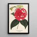 Camellia Giardino Santarelli - Charles Antoine Lemaire — framed artwork on a wall