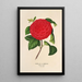 Reproduction of the painting Camellia Il Giogello - Charles Antoine Lemaire
